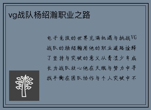 vg战队杨绍瀚职业之路