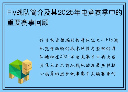Fly战队简介及其2025年电竞赛季中的重要赛事回顾